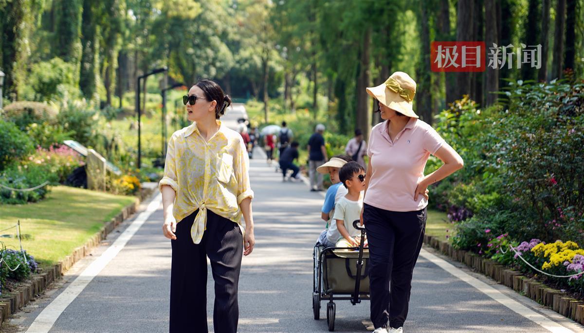 金沙官网网页游戏